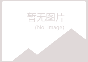 吉隆县女孩出版有限公司